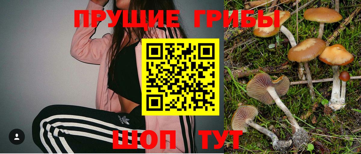Псилоцибиновые грибы прущие грибы Губкин